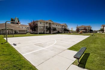 Basketball / sport court